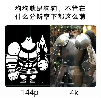图片分为左右两部分，左侧是144p低分辨率的像素风格图像，描绘了一个类似穿着盔甲、手持武器的狗狗形象，像素块明显；右侧是4k高分辨率的真实照片，一只柴犬趴在穿着中世纪盔甲的人的肩膀上，探头张望，背景有节日装饰的灯光。上方配有文字'狗狗就是狗狗，不管在什么分辨率下都这么萌'，通过分辨率对比幽默地突出狗狗的可爱不受画质影响。