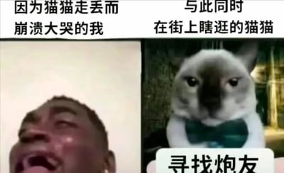 这是一张左右分栏的对比梗图，通过强烈的反差制造搞笑效果。左侧是一名黑人男子仰头大哭的画面，满脸泪水、嘴巴大张，配文“因为猫猫走丢而崩溃大哭的我”，生动表现出宠物主人发现猫咪走失后极度焦急、伤心崩溃的状态；右侧是一只戴着深绿色领结的猫咪，表情淡定、眼神看起来满是无所谓，上方配文“与此同时 在街上瞎逛的猫猫”，猫咪下方还有恶搞文字“寻找炮友”，展现出猫咪走失后不仅没有归家的想法，反而在外“潇洒社交”的反差感，精准戳中养宠人担心宠物，宠物却在外自在随性的搞笑日常，引发养宠群体的共鸣。
