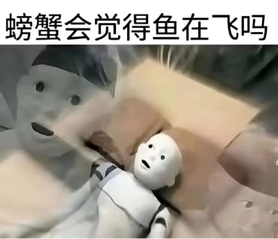 图片上方为黑色粗体文字“螃蟹会觉得鱼在飞吗”，下方是两个白色玩偶形象，它们有着圆形头部、黑色圆点眼睛和张开的嘴巴，处于动态模糊的场景中，整体给人一种通过拟人化玩偶提出哲学性趣味问题的感觉，引发对不同视角认知差异的思考。