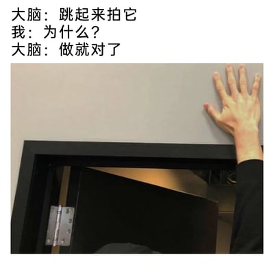 这是一张极具搞笑反差感的图文混排梗图，上方配有三段对话文字，分别是大脑发出指令“跳起来拍它”，“我”疑惑询问“为什么？”，大脑继续催促“做就对了”；下方的实拍图展示了执行这个指令后的场景：一只穿着黑色长袖的手高高抬起，拍在门框上方的墙面上，而下方的门正处于向内打开的状态，这个动作会直接让打开的门拍到自己的头部，精准还原了那种大脑突然冒出无厘头、无逻辑的冲动指令，当事人不假思索执行后才发现会坑到自己的搞笑瞬间，戳中了很多人都有过的、毫无理由就想做一些奇怪小动作然后翻车的共鸣点。