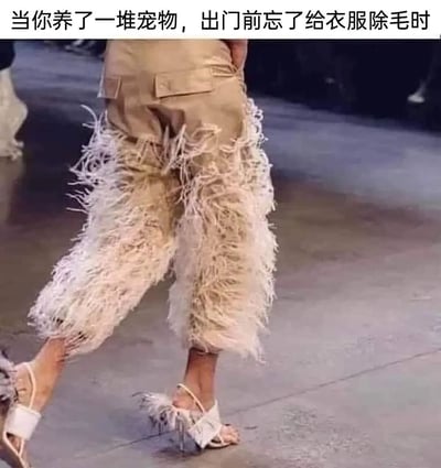 这是一张调侃养宠日常的搞笑梗图，图片顶部配有文字“当你养了一堆宠物，出门前忘了给衣服除毛时”，图中主体是时装秀上一位模特穿着的带有大量浅色羽毛装饰的卡其色长裤，创作者用这种夸张的时尚服饰来类比养宠人衣服上沾满宠物毛的状态，生动又幽默地表现出养宠人日常被宠物毛困扰、出门前忘除毛的尴尬场景，能引发众多养宠人的共鸣。