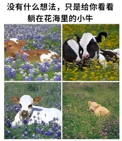 这是一张图文混排的多图拼接梗图，上方配有文字“没有什么想法，只是给你看看躺在花海里的小牛”。图片主体为2x2网格排列的四张照片，分别展示了不同花色的小牛惬意地躺在花海或草地中的场景：左上角是棕白相间的小牛卧于紫色花丛中，右上角是两只黑白花小牛依偎在黄色花海中，左下角是白棕斑点小牛静卧在紫色花海中，右下角是浅棕色小牛蜷缩在杂花点缀的绿色草地上。整体画面充满自然治愈感，无明显双关或谐音梗。