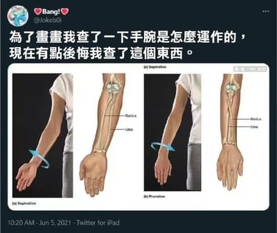 这是一张Twitter用户@Jokeb0i于2021年6月5日发布的帖子截图。帖子文字内容为：“為了畫畫我查了一下手腕是怎麼運作的，現在有點後悔我查了這個東西。”（为了画画我查了一下手腕是怎么运作的，现在有点后悔查了这个东西。）下方配有两组手腕运动示意图：左侧标注为“Supination”（旋后，手掌向上），包含一张真人手臂照片和一张标注了桡骨（Radius）与尺骨（Ulna）的解剖示意图；右侧标注为“Pronation”（旋前，手掌向下），结构类似左侧。图片右上角有“圖/愛：IVAN.MAE”的水印。整体通过分享学习画画时查阅手腕解剖知识后的“后悔”感受，营造出幽默自嘲的氛围，可能是因为了解到手腕结构的复杂性而感到惊讶或困扰。