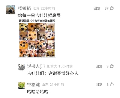 这是一张国内社交平台的评论区截图，用户“杨镇韬”发布了一个4×4网格的视觉错觉测试图，图中混合了吉娃娃的脸部照片和外观高度相似的蓝莓玛芬蛋糕，上方配有文字“請選取圖片中含有吉娃娃的圖片”，并且已经用竖大拇指的卡通小狗标识出了所有吉娃娃的位置，同时配文“给每一只吉娃娃抠鼻屎”玩梗；下方用户“说书人”趣味回复“吉娃娃们：谢谢赛博好心人”，用户“空格键”则以一串笑声回应。整张图利用吉娃娃脸部与玛芬蛋糕的视觉相似性制造错觉，评论区的互动围绕这个视觉梗展开，充满趣味性。