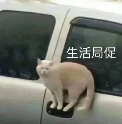 一只白色猫咪被紧紧挤在白色汽车的两个车门缝隙之间，身体呈现出明显的蜷缩姿态，四肢勉强支撑在车门把手上，眼神透露出几分无奈与不适。图片右侧配有醒目的白色文字“生活局促”，通过猫咪在狭小空间中的窘迫状态，巧妙隐喻了现代人在生活中常感受到的空间拥挤、精神压抑等生存压力，画面生动且极具共鸣感。