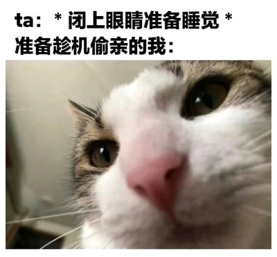 图片上方为文字内容：“ta: *闭上眼睛准备睡觉* 准备趁机偷亲的我:”，下方是一张猫的特写照片。猫咪有着白色和浅棕色相间的毛发，眼睛睁得很大，眼神中带着好奇和一丝警觉，正抬头向上凝视。整体通过文字设定的情侣间想偷亲的场景，搭配猫咪生动的表情，形成幽默的反差效果，展现出“我”当时既紧张又期待的调皮心情。