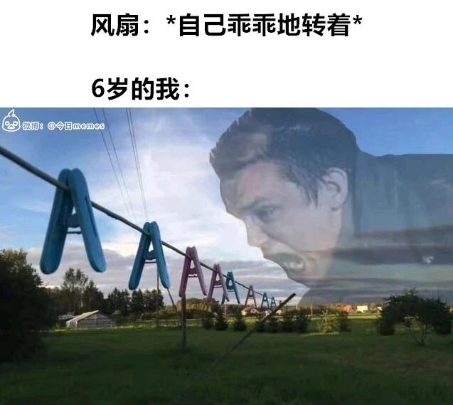 汤姆·赫兰德（荷兰弟）
