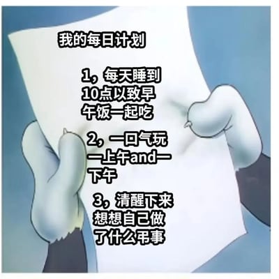 这是一张充满自嘲意味的搞笑梗图，以动画风格的双手持纸画面为底图，纸上的“我的每日计划”内容精准描绘了摆烂式的颓废日常：睡到10点合并早午饭、一整天都在玩乐，最后清醒时自我吐槽什么正事都没做，用幽默的方式戳中了很多人在假期或摸鱼时虚度时光的状态，引发共鸣。