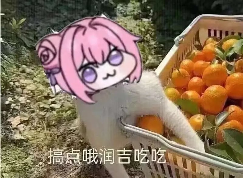 Doro搞点哦润吉吃吃表情包