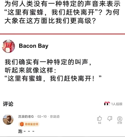 这是一张社交媒体问答社区的截图，顶部提出疑问“为何人类没有一种特定的声音来表示‘这里有蜜蜂，我们赶快离开’？为何大象在这方面比我们更高级？”，用户Bacon Bay用幽默的方式回复，称人类的特定叫声就是直接说出“这里有蜜蜂，我们赶快离开！”，用户“流浪的老G”则用更简洁的“跑~~~”作为评论，整个内容充满趣味，用调侃的方式回应了最初的疑问，展现了网络社区轻松的互动氛围。