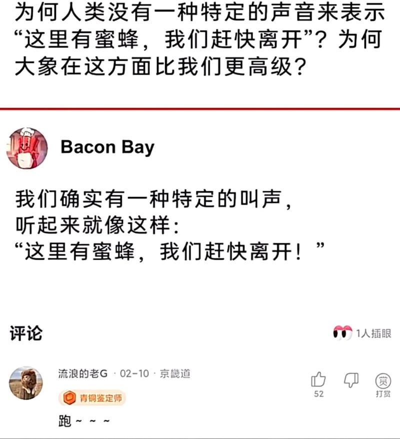 青铜鉴定师
