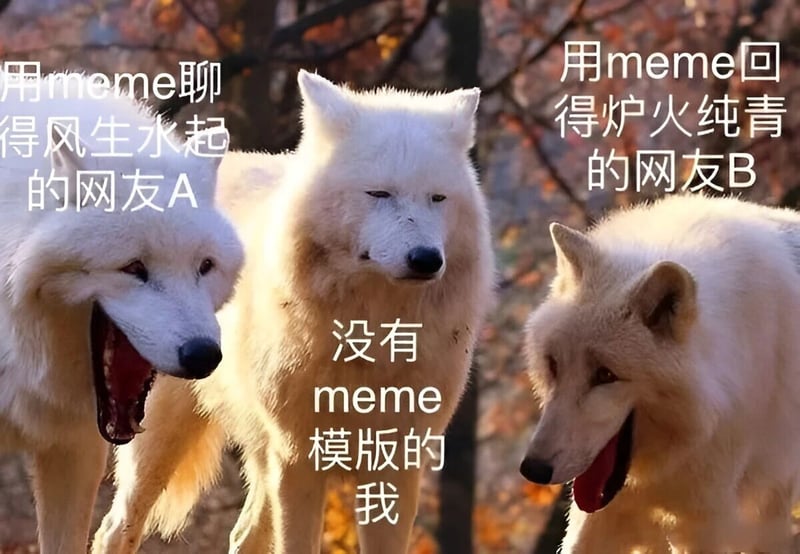 白狼