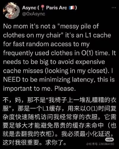 这是一张程序员极客风格的梗图，中英双语，将『椅子上一堆脏衣服』类比为计算机里的L1缓存。主人公用计算机术语向母亲解释自己乱放衣服是为了高效访问常穿衣物，借用技术语言自嘲日常生活中的小懒惰，体现了极客幽默和生活现实的碰撞，十分有趣，也含有技术宅圈层的自我调侃。

图中有强烈的类比双关，将技术词汇『L1缓存』嫁接到衣服堆现实场景，也是典型的将专业术语生活化。