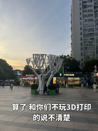 这是一张竖版实拍的城市广场梗图，拍摄于傍晚时分，天空呈现出日落时的暖黄渐变色调。画面中心是三座白色的抽象树形公共艺术装置，其分叉的镂空支撑结构外形酷似3D打印过程中使用的支撑结构，装置底部搭配绿色花箱与长椅，有两位市民正坐在长椅上休息。装置后方是沿街商铺，可见正新鸡排、泸溪河桃酥等大众熟知的门店，远处还有高层居民楼、绿植，广场上还有其他过路的行人。图片底部叠加了白色加粗的配文“算了 和你们不玩3D打印的说不清楚”，用来调侃只有接触过3D打印的人群才能看懂该装置和3D打印支撑的相似点，不了解3D打印的人很难get到这个联想的趣味点。