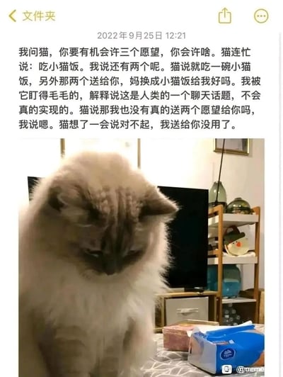 这是一张图文混排的萌宠内容，上方是一段拟人化的趣味对话：“我”以人类的聊天话题询问家里的猫，如果拥有三个愿望会许什么，猫的回答只有“吃小猫饭”，还表示要把另外两个愿望送给“我”，同时请求“我”换成小猫饭；当“我”说明这只是不会实现的聊天话题后，猫因为觉得自己送出的愿望没有用处，而愧疚地道歉。下方搭配了一只低头耷拉着耳朵、看起来低落又愧疚的布偶猫图片，图片里的猫的状态和文字里猫的情绪完美呼应，整体内容温馨又可爱，将猫咪塑造成单纯又有点小懂事的形象，十分治愈。