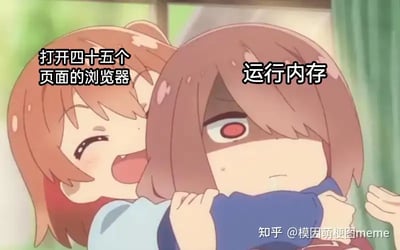 这是一张常见的动画表情包，画面中一个角色从后面紧紧抱住另一角色。左边开心的角色脑袋上标有“打开四十五个页面的浏览器”的文字，右边被抱着的角色面露惊恐、绝望、无奈，头上写着“运行内存”。意思是用拟人化来形象表达电脑在打开大量页面时内存濒临崩溃的窘境，非常贴合打工人或学生常遇到的实际电脑问题，也有形象的夸张表现。

该图属于常见的‘内存压力’类表情包，主要用于吐槽电脑卡顿、崩溃等场景。

没有明显双关、谐音梗或其他暗示。