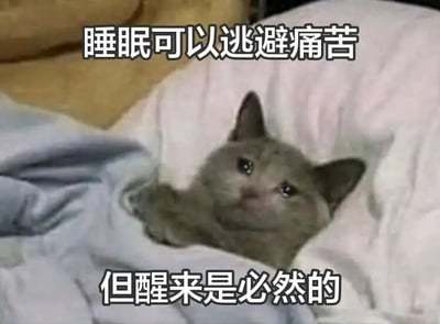 图片中是一只灰色的猫咪，它蜷缩在柔软的毯子里，只露出小脑袋和一只爪子，眼神略带忧郁地向上看。图片上方有文字“睡眠可以逃避痛苦”，下方有文字“但醒来是必然的”。整体通过猫咪的可爱形象与略带丧系的文字结合，表达了人们想要通过睡眠暂时逃避现实烦恼，但最终仍需面对的无奈情绪，引发共鸣。