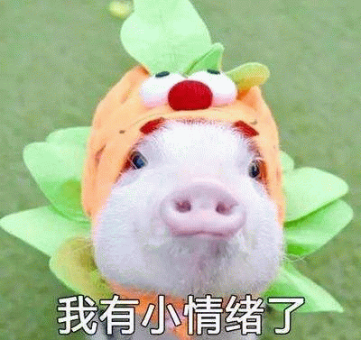 戴胡萝卜帽子的小猪：我有小情绪了