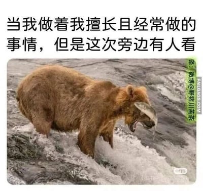 这张梗图上方配有文字“当我做着我擅长且经常做的事情，但是这次旁边有人看”，下方是一张真实拍摄的照片：一只棕熊站在湍急的河水中，本来是它擅长的捕鱼行为，结果鱼直接拍在了它的脸上，呈现出意外又窘迫的状态。这个画面完美呼应了配文，生动表现出很多人在被他人注视时，原本熟练的事情也会出现失误的窘迫感，没有双关或谐音梗。