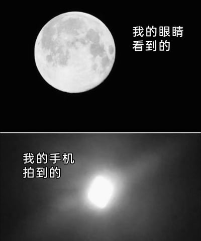 这是一张上下拼接的黑白对比图，上半部分背景为纯黑，展示了一轮清晰明亮的满月，月面上的明暗纹理清晰可见，右侧配有文字“我的眼睛看到的”；下半部分背景为灰黑色，呈现出一个模糊的、泛着光晕的白色亮块，几乎看不到任何细节，左侧配有文字“我的手机拍到的”。整张图通过强烈的视觉反差，调侃了普通手机在拍摄夜景天体（月亮）时的效果与肉眼所见的巨大差距，引发有类似拍照经历的网友共鸣。