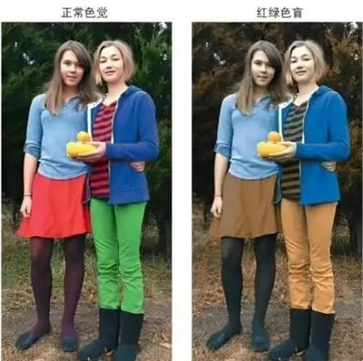 这是一张左右对比图，左侧呈现正常色觉下的户外场景：两位女性站在一起，左边女性身着浅蓝色上衣、红色短裙与深色裤袜，右边女性穿着蓝色外套、红黑条纹内搭和绿色长裤，二人共同捧着黄色水果；右侧则模拟红绿色盲人群的视觉效果，由于红绿色盲无法分辨红色与绿色，左侧女性的红色短裙变为棕褐色，右侧女性的绿色长裤变为土黄色，红黑条纹内搭也变成深灰黑条纹，直观展现出红绿色盲与正常色觉的视觉差异，用于科普色盲的视觉体验。