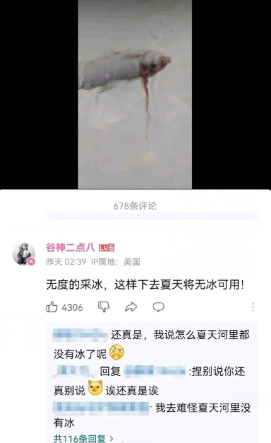 鱼
