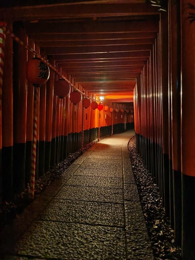 图片展示了一条由无数朱红色鸟居构成的隧道，在夜晚被温暖的灯光照亮。鸟居整齐排列形成深邃的通道，两侧悬挂着传统红色灯笼，部分灯笼上有黑色文字。脚下是由石板铺成的小路，散落着些许枯叶，尽头的光亮为隧道增添了神秘感。整体色调以橙红色为主，营造出宁静而庄重的氛围，展现了日本传统神社建筑的独特美感。