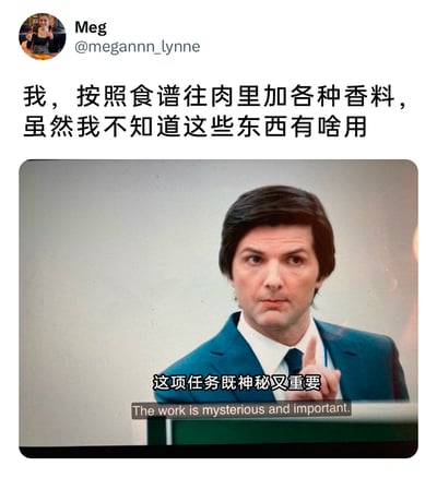 这是一张发布在X平台的幽默梗图，用户Meg以第一人称视角调侃自己作为做饭新手，在完全不理解各类香料作用的情况下，依然严格遵照食谱往肉里添加香料的日常；下方配图截取了美剧《人生切割术》中主角马克·史考特的经典场景，图中角色身着正装，表情严肃地竖起食指，搭配字幕“这项任务既神秘又重要”，将剧中职场里员工对未知却被定义为重要的工作任务的严肃心态，巧妙套用在自己做饭加香料这件事上，用反差感放大了新手做饭时对食谱步骤一知半解却严格执行的滑稽心态，引发同类经历者的共鸣。