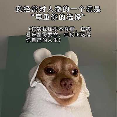这是一张文字加注类宠物表情包，主体是一只穿着白色熊耳毛绒衣服的吉娃娃，狗狗面带假笑，眼神带着无奈与嫌弃的神态，完美契合了配文表达的内心活动。配文内容为“我经常对人撒的一个谎是‘尊重你的选择’（其实我压根不尊重，在我看来蠢得要命，但反正这是你自己的人生）”，精准戳中了当代人在人际交往中，碍于社交礼仪嘴上表示尊重他人选择，实则内心对他人选择不认可但又不愿干涉的真实心态，用幽默的方式调侃了这种口是心非的社交状态。