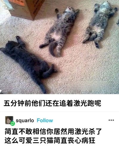 三只小猫四脚朝天地躺在地毯上，姿态放松，似乎非常疲惫。图片上方有一个纸箱。图片下方配有文字："五分钟前他们还在追着激光跑呢"，以及一条评论："简直不敢相信你居然用激光杀了这么可爱三只猫简直丧心病狂"。这张图通过对比小猫前后的状态，幽默地表现了猫咪玩耍后迅速疲惫的特点。