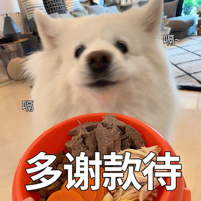 一只白色的毛茸茸狗狗刚吃完一碗装满肉和狗粮的食物，满足地打了嗝，并配上文字'多谢款待'，表情看起来非常开心和满足。