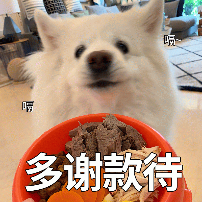 吃饱打嗝的狗狗说多谢款待
