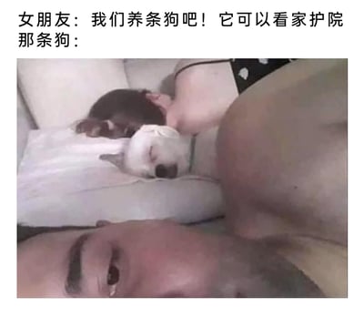 这是一张搞笑反差梗图，上方配文构建了“养狗看家护院”的预期，下方图片则展示了完全相反的实际场景：女子和狗狗依偎在一起，舒适地熟睡在枕头上，画面下方的男子露出半张脸，眼神透着无奈，与女朋友承诺的“看家护院”形成强烈反差，用宠物慵懒躺平、完全不履行“职责”的状态制造出搞笑效果，调侃了那些看似能看家护院，实则只会安逸度日的宠物日常。