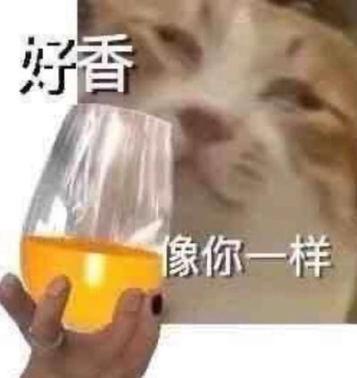 这是一张经过拼贴改编的图文混排表情包，画面后方是一只表情陶醉、仿佛在嗅闻香气的猫咪，前方是一只手举着装有黄色液体的高脚杯，图中搭配文字“好香”“像你一样”。这是一句直白的土味情话，将对杯中饮品香气的夸赞，转移到对人的喜爱与夸赞上，用搞笑又略带暧昧的方式向对方表达好感，适合在轻松的社交场景中使用。图中没有双关、谐音梗或暗示内容。