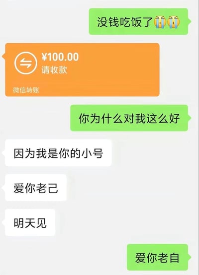 这是一张模拟微信聊天界面的搞笑梗图。图中用户先发送“没钱吃饭了”并配上哭泣表情，随后出现100元微信转账提示，用户疑惑询问“你为什么对我这么好”，对方回复“因为我是你的小号”，揭示转账实为自己转给自己，后续还有“爱你老己”“爱你老自”等疑似打字错误的暖心回复，通过自嘲方式展现经济拮据时的无奈与幽默。