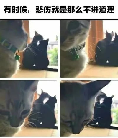这是一张四宫格（2x2）图文混排的猫咪主题图片，上方配有文字“有时候，悲伤就是那么不讲道理”。四个面板均为室内自然光场景，主要展示两只猫咪的互动与情绪变化：第一格中浅色猫咪（疑似暹罗猫，佩戴绿色铃铛项圈）侧身望向黑色猫咪；第二格特写浅色猫咪的面部，眼神专注；第三格浅色猫咪低头，耳朵微垂；第四格浅色猫咪完全低下头，耳朵耷拉，表情流露出明显的悲伤。黑色猫咪始终静坐于背景中，形成陪伴的氛围。整体通过猫咪的表情变化拟人化展现“突如其来的悲伤”这一情绪主题，画面温馨又带点小伤感。