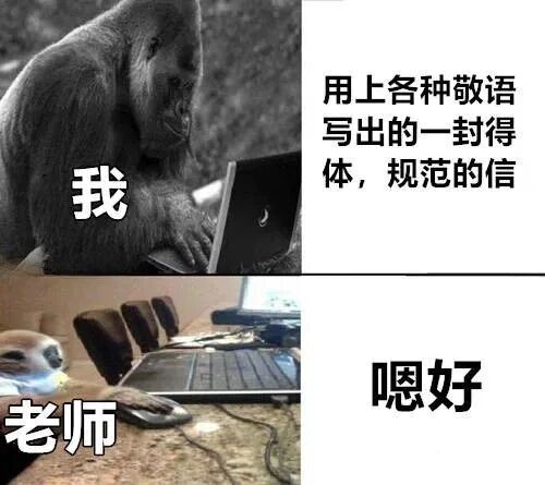 雪貂