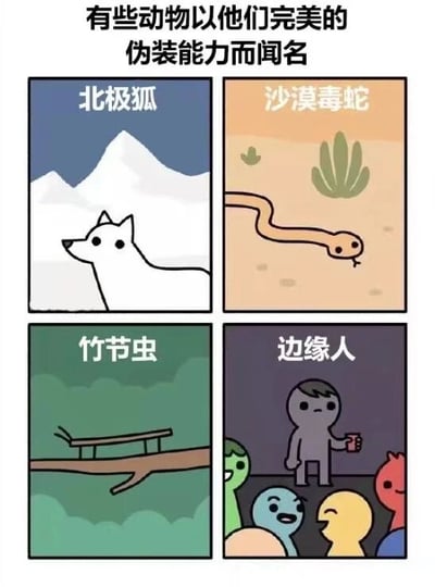 这是一张四格连环漫画，上方配有文字'有些动物以他们完美的伪装能力而闻名'。第一格展示北极狐：白色身体与雪山背景融为一体；第二格是沙漠毒蛇：棕色身体与沙漠环境几乎一致；第三格为竹节虫：外形酷似树枝附着在枝干上；第四格则幽默地将'边缘人'列为伪装高手——灰色小人手持饮料，沉默地站在色彩鲜艳的人群边缘，仿佛融入背景。通过动物伪装与人类社交边缘行为的类比，制造出搞笑又共鸣的效果。
