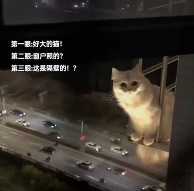 这是一张充满趣味的视觉错位实拍图，画面主体是一只橘色圆脸猫咪，它正趴在阳台栏杆处，探着脑袋看向镜头方向。由于拍摄视角的巧合，猫咪的身体和窗外远处的城市马路画面重叠，形成了猫咪体型巨大、仿佛出现在马路边的错觉。图片左侧的三段文字，精准描述了观看者看到这张图时的心理变化：第一眼惊叹猫咪的巨大，第二眼怀疑是窗户的反光倒影，第三眼才反应过来是隔壁阳台的猫咪，这种层层递进的心理描述放大了视觉错位带来的荒诞感和趣味性，让这张图充满笑点。