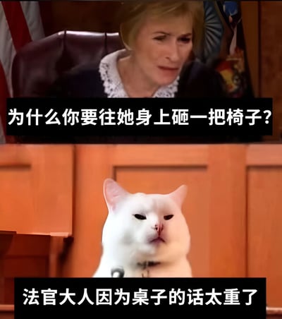 这是一张上下拼接的搞笑梗图，上半部分是一位坐在法官席上的金发女性法官，背景有美国国旗，她表情严肃地提问："为什么你要往她身上砸一把椅子?"。下半部分是一只表情面无表情的白猫，坐在木质背景前，回答："法官大人因为桌子的话太重了"。图片通过将动物拟人化并置于法庭场景中，创造出荒诞幽默的效果。