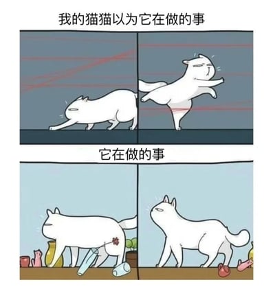 这是一张四格漫画风格的搞笑猫咪梗图，通过上下对比展现了猫咪的自我认知与现实的差距。上排标题为'我的猫猫以为它在做的事'，展示了白猫摆出自信、帅气的姿势，背景有红色动感线条强调其想象中的英姿；下排标题为'它在做的事'，则揭示了猫咪实际在笨拙地破坏物品，撞倒杯子和花瓶的真实场景。这种反差萌的设计创造了幽默效果，非常符合宠物主人对猫咪行为的观察和调侃。