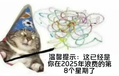 图片左侧是一只戴着蓝色派对帽（帽子上有足球图案）的猫，表情略带冷漠，正用一只爪子拿着黑色棍子指向右侧的彩色杂乱涂鸦。图片底部有文字提示：“温馨提示：这已经是你在2025年浪费的第8个星期了”。通过可爱的猫咪形象与扎心的时间浪费提醒形成反差萌，以幽默方式调侃人们对时间管理的焦虑。