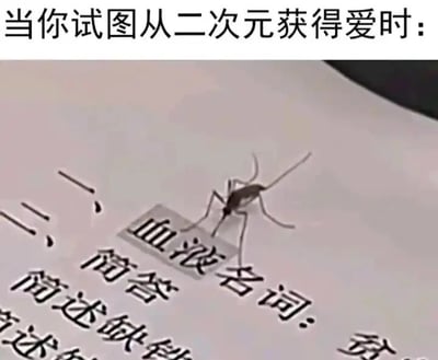 暂无描述