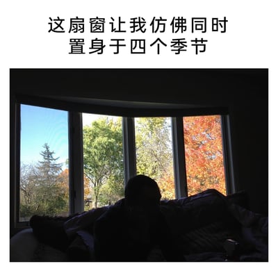 这是一张顶配底文图，上方配有文字“这扇窗让我仿佛同时置身于四个季节”。画面呈现室内视角，一个人物的黑色剪影坐在沙发上，面前的弧形四格窗户分别展现出四种不同季节感的树木景观：左侧窗外是枝叶稀疏、带有萧瑟感的树木，仿佛冬季或早春的景象；第二格窗外是翠绿茂盛的树木，充满春夏生机；第三格窗外的树木开始出现落叶，带着初秋的过渡感；最右侧窗外是满树艳红的秋叶，尽显秋季氛围。四种景致在同一扇窗中同时呈现，形成奇妙的视觉效果，让人仿佛同时身处四个季节。