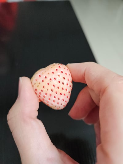 一只手正捧着一颗形状完美的心形草莓，草莓表面布满红色小点，背景是黑色的平面。这颗草莓呈现出自然生长形成的心形外观，非常可爱和独特。