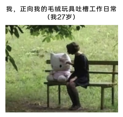 这是一张引发职场人共鸣的静态梗图，画面展示了一位27岁的职场打工人，穿着深色连衣裙与黑色丝袜，坐在户外的木质长椅上，身旁是一个大型Hello Kitty毛绒玩具。打工人正对着这个毛绒玩具，似乎在倾诉工作中的各种烦心事。背景是一片草地，整体氛围带着成年人的疲惫与孤独，用向无生命的毛绒玩具倾诉的方式，精准表达了当代年轻人在面对职场压力时，找不到合适倾诉对象，只能通过这种方式宣泄情绪的状态，戳中了许多职场人的内心。