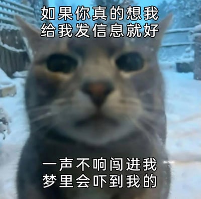 这是一张网络流行的静态表情包，主体是一只身处雪地中的灰色猫咪，猫咪表情委屈又懵懵的，看起来有些低落。图片搭配了两段趣味文字，上方文字为“如果你真的想我 给我发信息就好”，下方文字为“一声不响闯进我 梦里会吓到我的”，以诙谐幽默的口吻，表达了希望想念自己的人直接联系自己，不要以出现在梦里这种方式“突袭”的小抱怨，同时也暗含期待对方主动的心情，适合用于和朋友、恋人等亲密对象调侃互动。