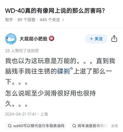 这是知乎上一则关于WD-40的回答截图，答主原本以为WD-40是万能除锈润滑剂，直到手残往生锈的自行车碟刹上喷了它，结果碟刹因为被过度润滑失去刹车能力，答主用自嘲的语气分享了这个翻车经历，吐槽WD-40并非万能，不能乱用在刹车系统上。
没有双关、谐音梗或暗示内容。