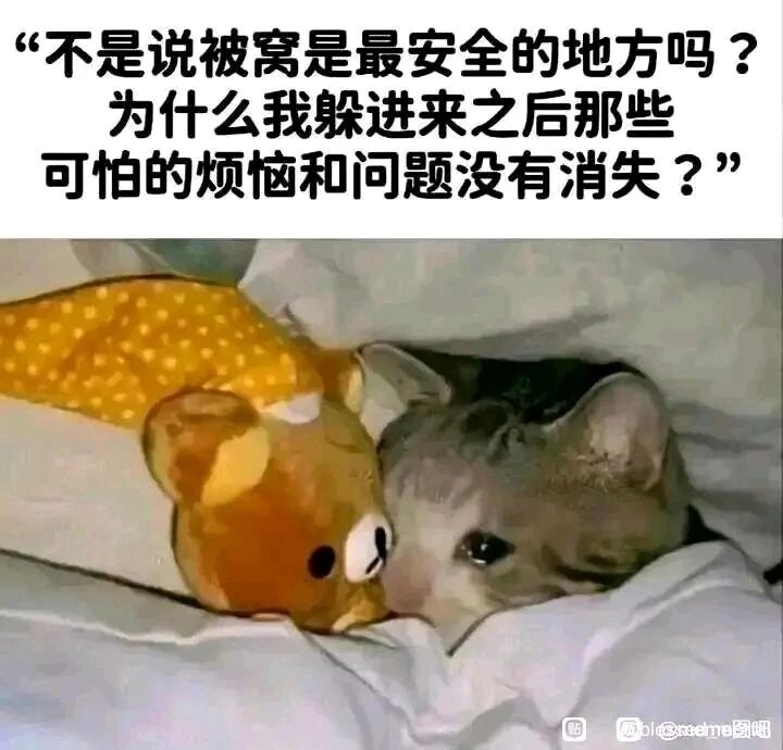 轻松熊系列