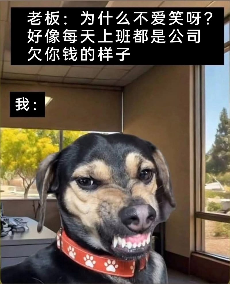 打工人